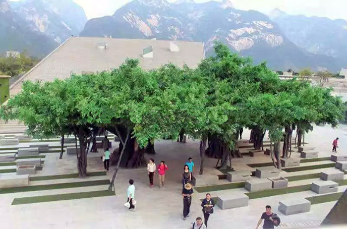 仿真榕樹制作沒有大只有大-仿真榕樹圖片