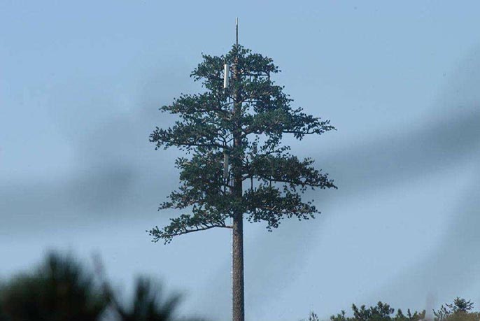 把已經(jīng)在室外建好的信號塔避雷針監(jiān)控桿變成仿真樹