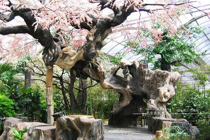 仿真樹(shù)是現(xiàn)代快節(jié)奏的時(shí)尚潮流裝飾之一