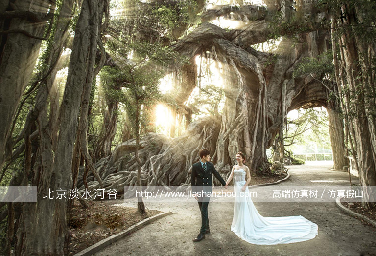 蒙娜麗莎室內綠色風情婚紗攝影仿真樹設計-北京圣園工程