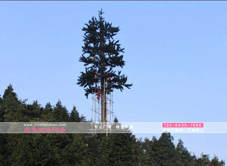 避雷針樹和樹形避雷針是現在景區(qū)的標準配置