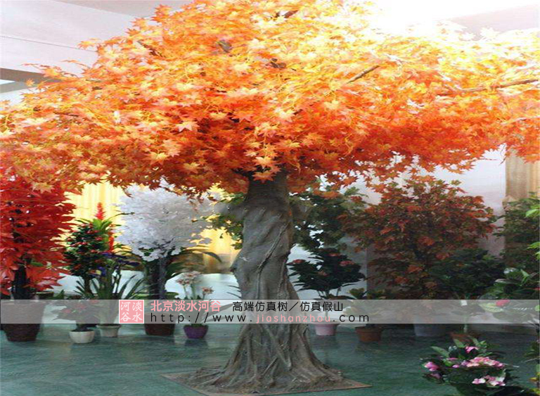 仿真樹中好的品種擁抱仿真樹就是擁抱大自然