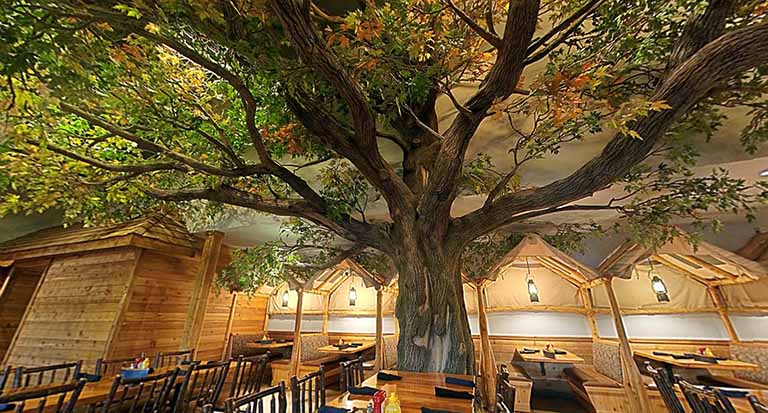 國外很多的博物館假樹都是中國這家公司制作的設(shè)計安裝