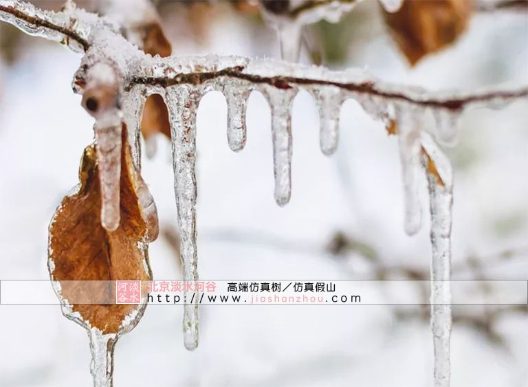 處理冰雪災(zāi)害天氣下的仿真樹景觀的6個技巧