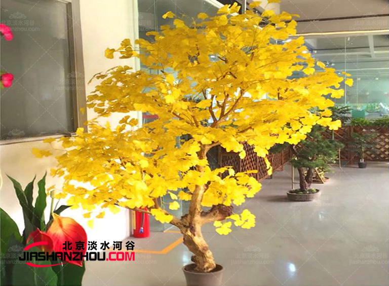 要么不做要做就做優(yōu)質精品仿真樹這家廠家靠譜