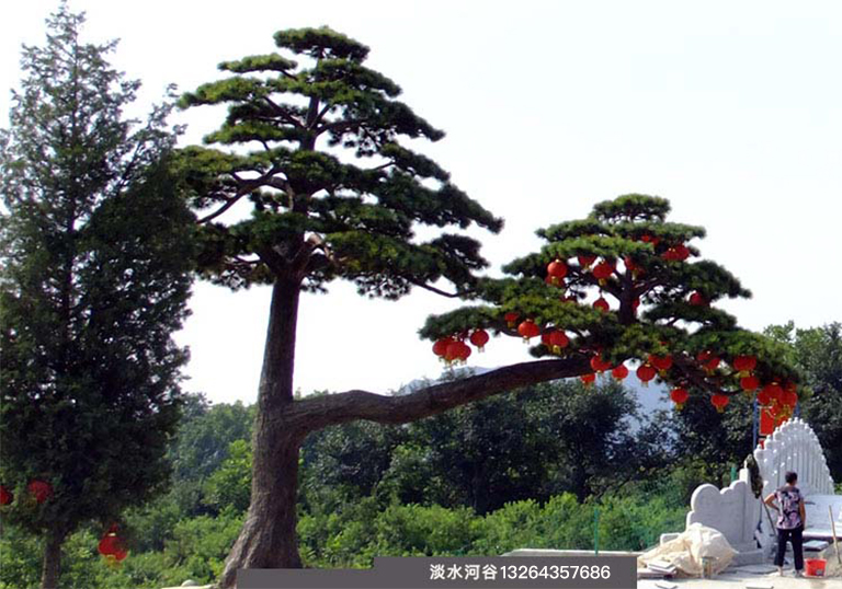 現(xiàn)場(chǎng)制作仿真松樹(shù)，工藝精美效果逼真—北京圣園工程
