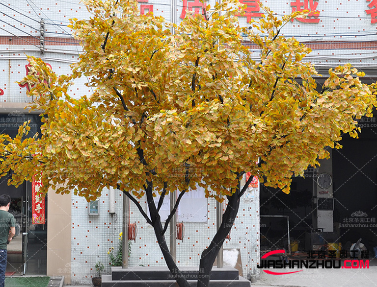 仿真樹它們可以為用餐環境帶來自然、溫馨和生機的感覺