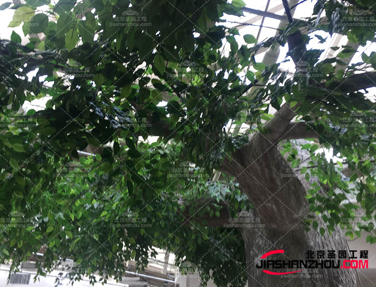 LED燈裝飾仿真樹(shù) 創(chuàng)造真實(shí)自然的綠色景觀