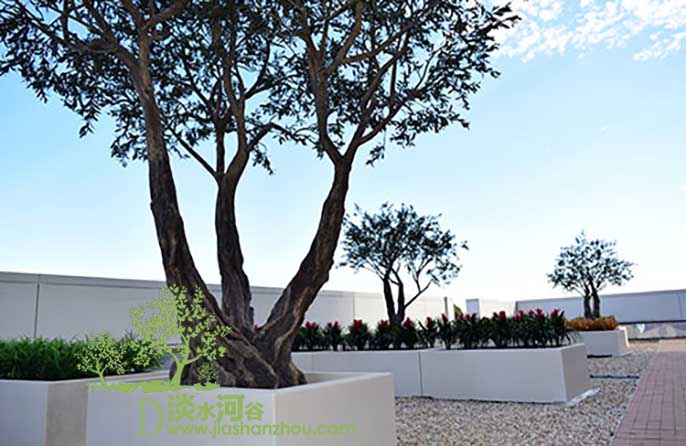 仿真樹