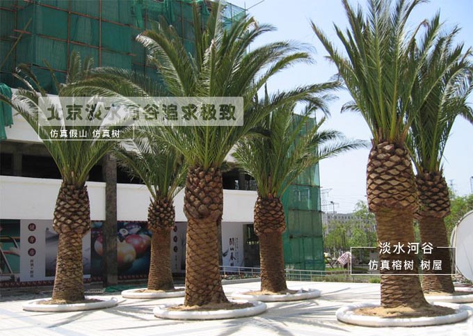 仿真樹.jpg
